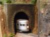 valleyqueenleavingtheelkinsdivision_small.jpg